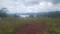 Varasgaon Plot View 2