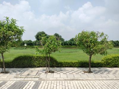 Image of 125 Sq.ft Residential Plot / Land for sale in Mansha Oaks, Sector 98, Faridabad for Rs. 16250000