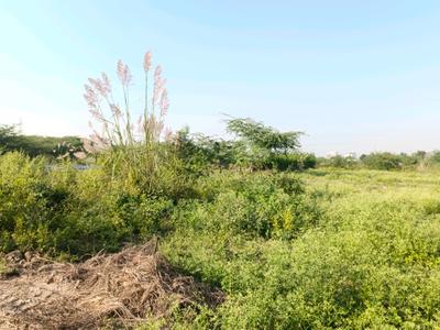 Image of 26 Sq.ft Residential Plot / Land for sale in Sector 34 Rohini, New Delhi for Rs. 4200000