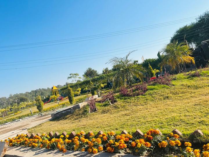 Saidpura Main Image 1