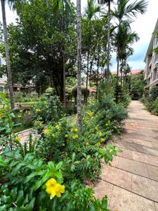 Image of 700 Sq.ft 1.5 BHK Apartment / Flat for sale in Consortexe Consortexe Anandvan, Kudal, Sindhudurg for Rs. 3350000