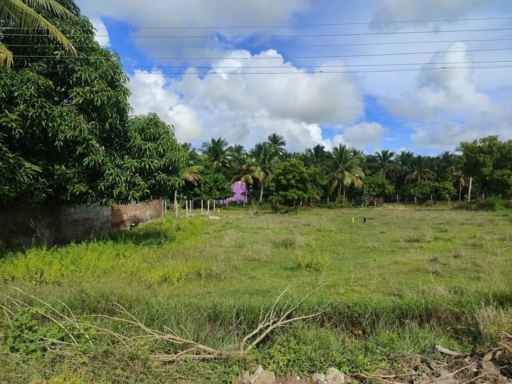 Residential 2520 Sqft Plot for sale at Ponmar, Chennai Property ID