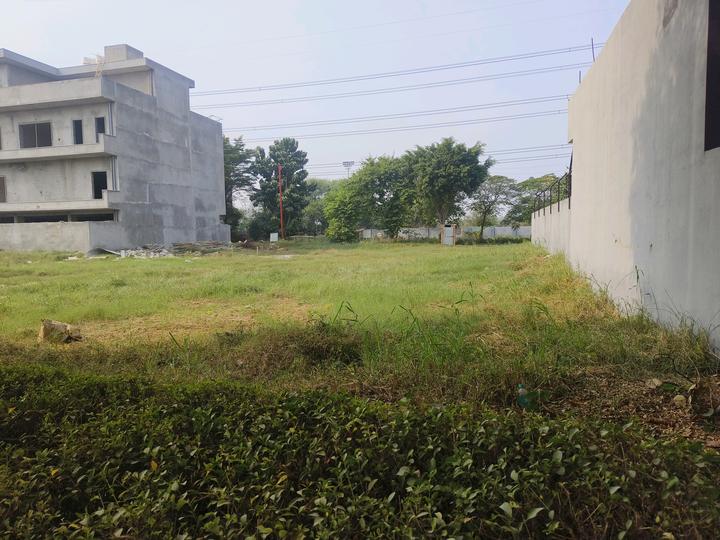 Roots Courtyard 2 Main Image 1