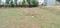 Sri Vishnu Avenue pannikampatti road near to saibaba garden pannikampatti road Plot View 2
