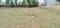 Image of 1968 Sq.ft Residential Plot / Land for sale in Mahalingapuram, Pollachi for Rs. 3000000