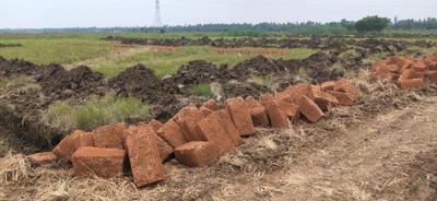 Image of 1300 Sq.ft Residential Plot / Land for sale in Atharanala, Puri for Rs. 1300000