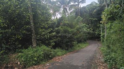 Image of 600 Sq.ft 3 BHK Independent House for sale in Kanjikuzhy, Idukki for Rs. 1300000