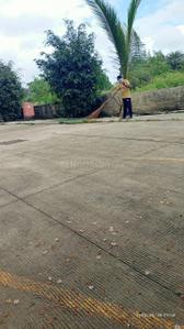 Image of 529 Sq.ft 1 BHK Apartment / Flat for sale in Saikrupa Sai Vishwa, Sudumbre, Pune for Rs. 2100000