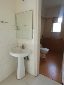 Bathroom Image of 1690 Sq.ft 3.5 BHK Apartment / Flat for rent in Amar Ambience, Ghorpadi Pune for Rs. 70000