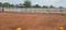 Panjapur Plot View 2