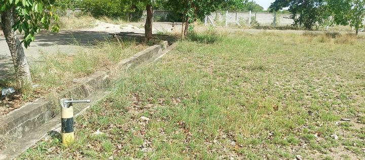 Globuse Lushgreens Main Image 1