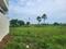 Indra Palem Plot View 2