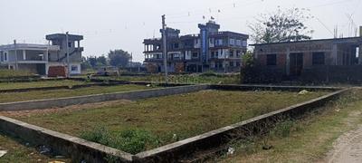 Patharghata Plot View 3