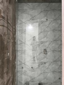 Common Bathroom One Image of 1050 Sq.ft 2 BHK Apartment / Flat for sale in Ambesten Twin Chalet, Noida Extension Greater Noida for Rs. 3900000