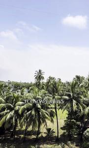 Image of 950 Sq.ft 2 BHK Apartment / Flat for sale in Sumer Park, Mazgaon, Mumbai for Rs. 34000000