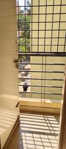 Balcony Image of 1205 Sq.ft 2 BHK Apartment / Flat for rent in Munnekollal Bengaluru for Rs. 35000
