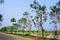 LUCKY TOWNSHIP BHOGAPURAM VIZAG Main Image 1