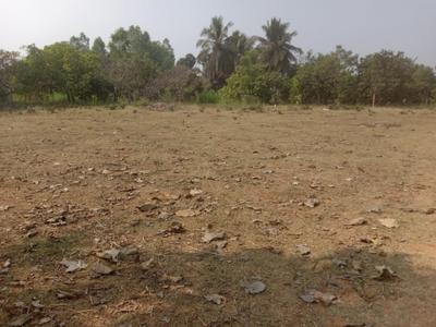 Yellamanchili Plot View 2