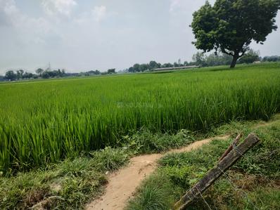 Image of 91800 Sq.ft Residential Plot / Land for sale in Sultanpur Road, Lucknow for Rs. 45000000