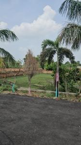 Kankaha Plot View 3