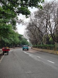 Image of 950 Sq.ft 2 BHK Apartment / Flat for sale in Skyline Dev Infra, Sector 49, Noida for Rs. 4500000