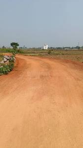 Khorda pitapalli More Images 2