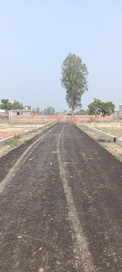 New Haiderganj Main Image 1