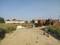 YEIDA Individual Residential Plots Internal Roads 1