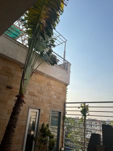 Image of 9970 Sq.ft 9 BHK Independent House for sale in Musheerabad, Hyderabad for Rs. 134700000