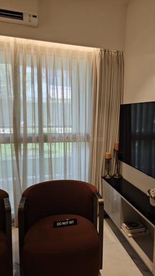 DP Star Main Image 1