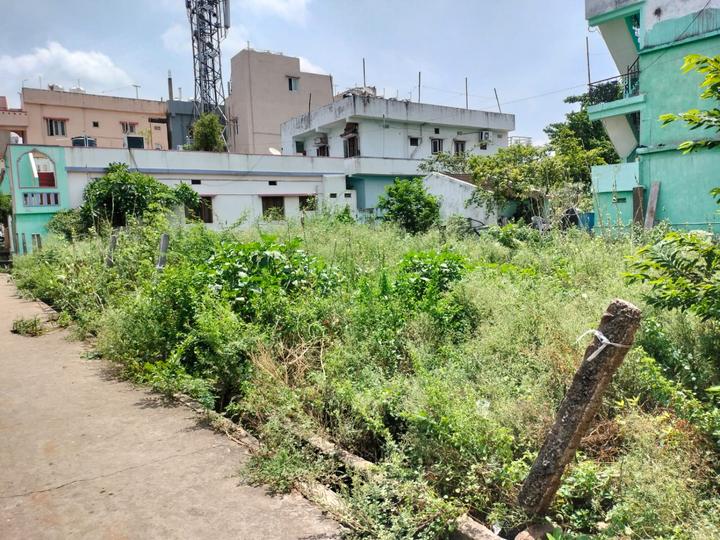 Marripalem Main Image 1