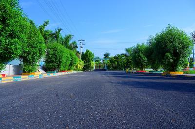 Residential Plot