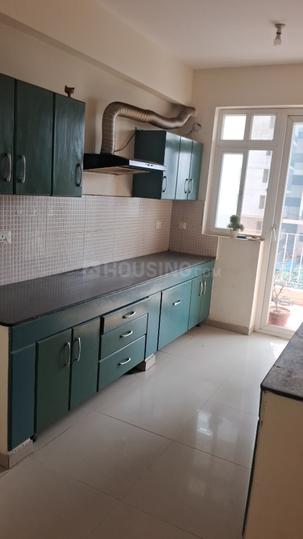 Corona Optus Main Image 1