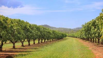 Image of 50000 Sq.ft Residential Plot / Land for sale in Siyana, Bulandshahr for Rs. 3500000