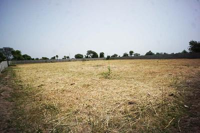 Image of 5688 Sq.ft Residential Plot / Land for sale in Dahegam, Gandhinagar for Rs. 33100000