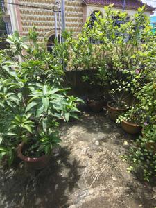 Image of 1200 Sq.ft 3 BHK Independent House for sale in Ram Nagar, Kolkata for Rs. 5000000