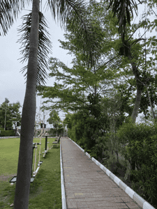 Image of 940 Sq.ft 2 BHK Apartment / Flat for sale in Besa, Nagpur for Rs. 5500000