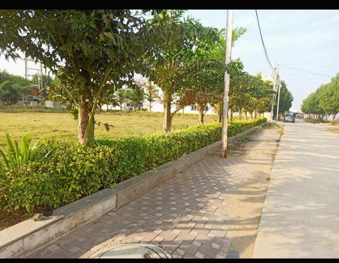 Bhawrasla Main Image 1
