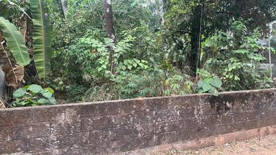 Image of 5880 Sq.ft Residential Plot / Land for sale in Viyyoor, Thrissur for Rs. 9585000