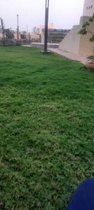 Image of 1334 Sq.ft 2 BHK Apartment / Flat for sale in Khandagiri, Bhubaneswar for Rs. 10500000