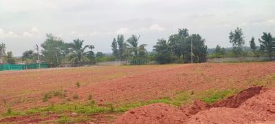 Devanahalli Plot View 2