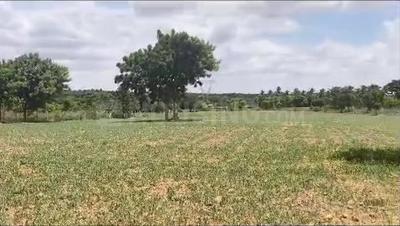 Image of 53240 Sq.ft Residential Plot / Land for sale in Aroodi, Bengaluru for Rs. 120000000