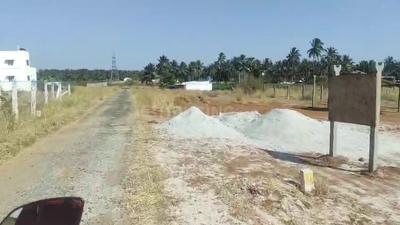Eachanari Plot View 2