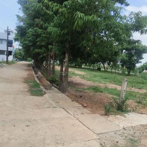 Thimmapuram Plot View 1