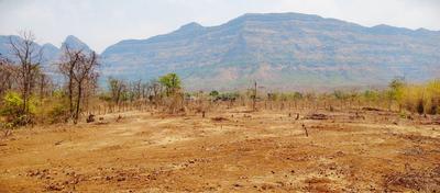 Image of 43560 Sq.ft Residential Plot / Land for sale in Murbad, Thane for Rs. 7200000