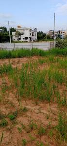 Image of 44000 Sq.ft Residential Plot / Land for sale in Hoskote, Bengaluru for Rs. 100000000