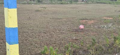 H V RAJIVA TOWNSHIP DANAGALLI Plot View 2