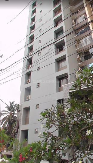 Malabar royal palm Kottooli More Images 1