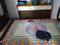 Mahendrakumar Bedroom 1