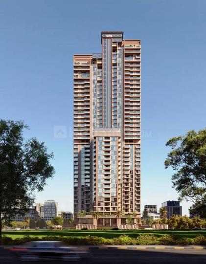 Sahashya Skyzenia Main Image 1